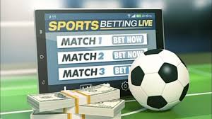 The Ultimate Guide to Sofa Bet Strategies, Tips, and Insights