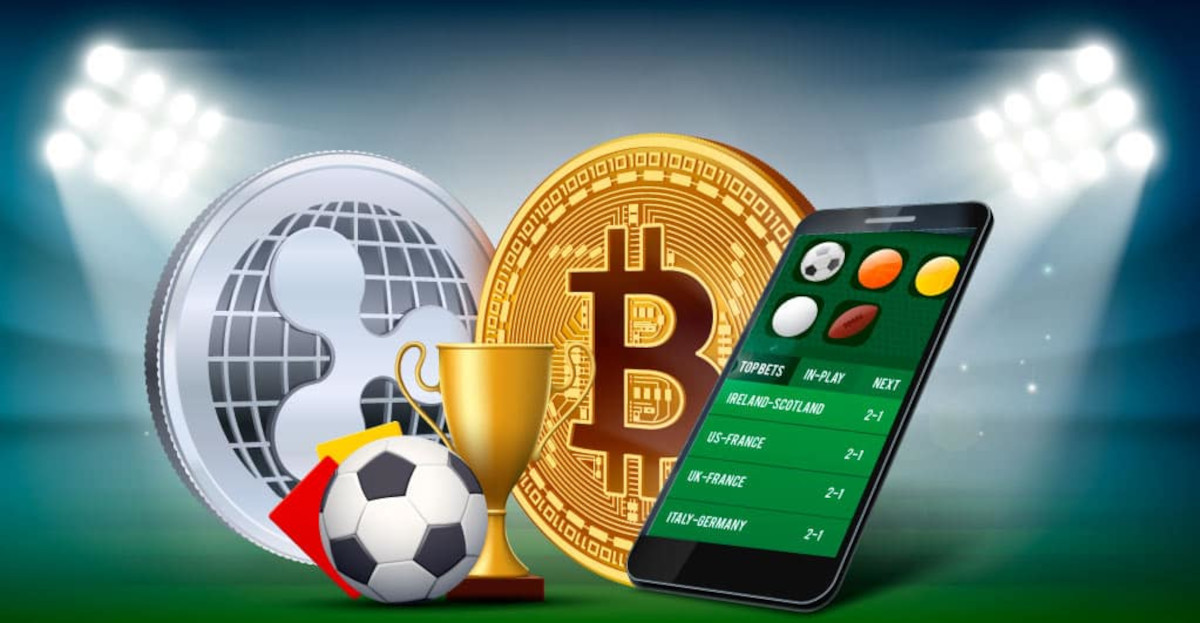 The Ultimate Guide to Sofa Bet Strategies, Tips, and Insights
